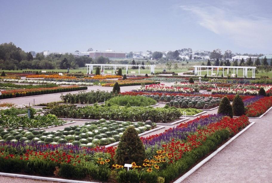 grands-jardins-normandin-ose-le-pays-des-bleuets