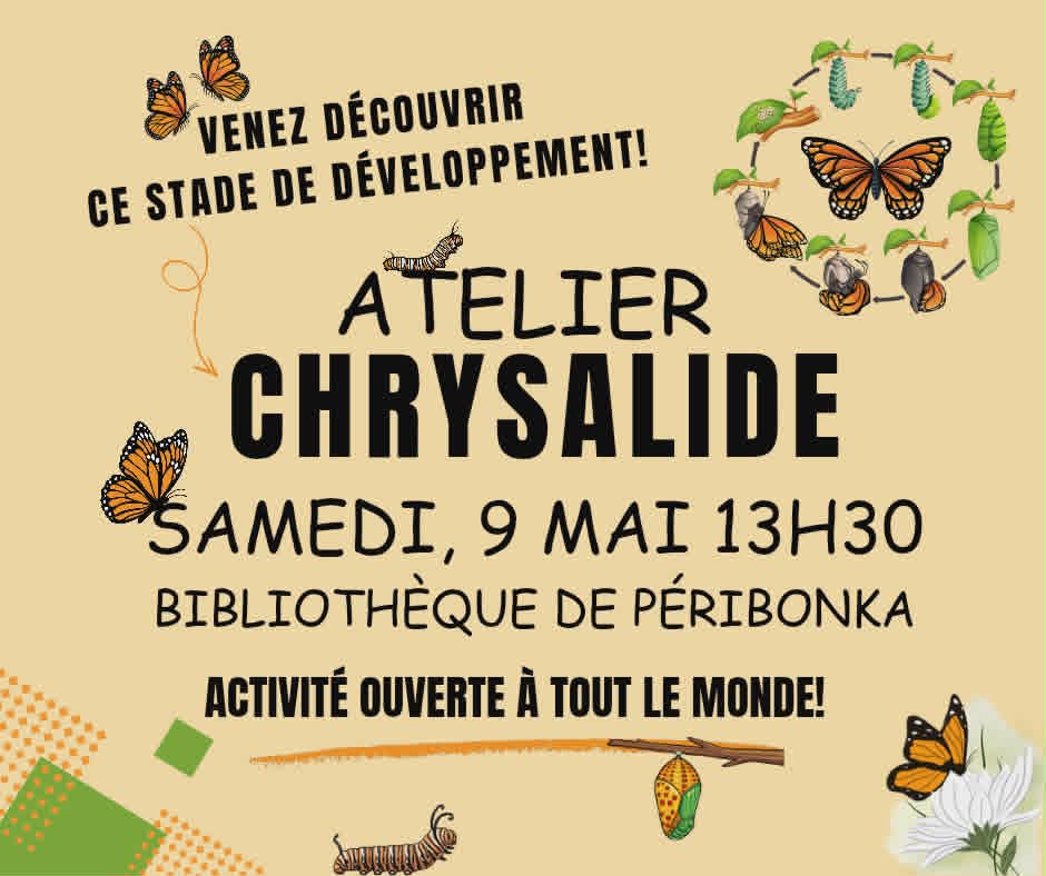 chrysalide